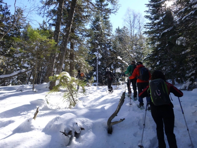  In Richtung des verschneiten Waldes klettern 